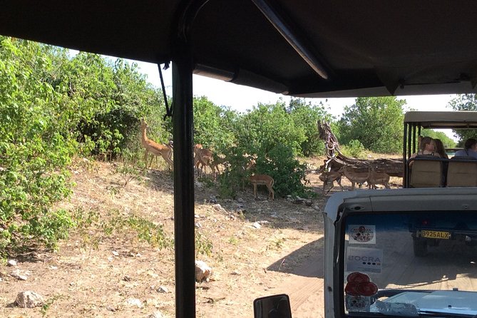 Chobe Full Day Trip - Inclusions and Exclusions
