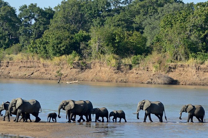Chobe Full Day Trip - Visa and Documentation