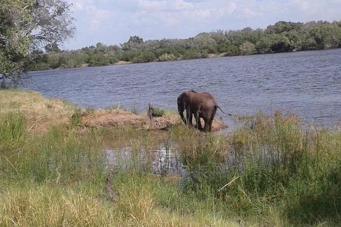 Chobe Full Day Trip - Traveler Capacity