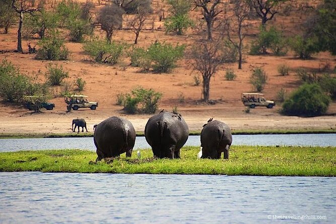 Chobe Full Day Trip - Cancellation Policy