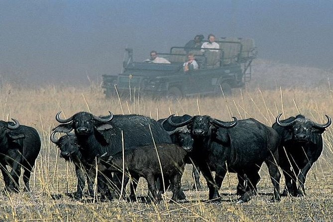 Chobe Full Day Trip From Victoria Falls - Cancellation Policy