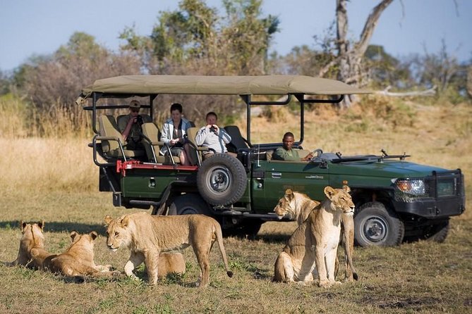 Chobe Full Day Trip From Victoria Falls - Boat Cruise Experience