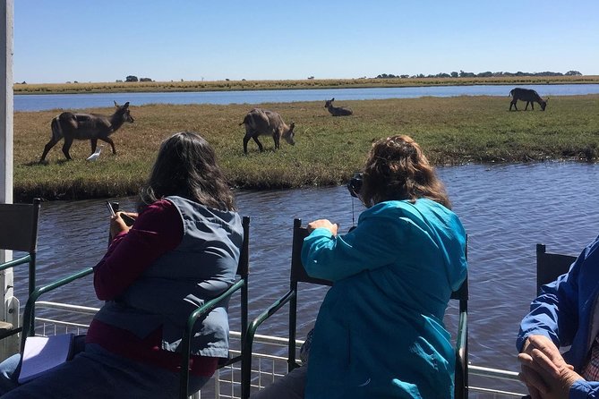 Chobe Half Day Trip - Reviews and Experiences