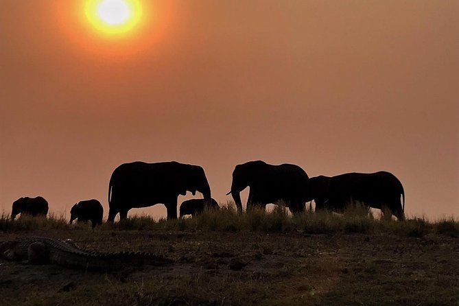 Chobe National Park 1 Night Camping-Botswana - Positive Traveler Reviews and Ratings