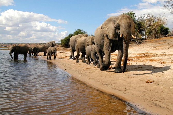Chobe National Park 4X4 Day Safari and River Cruise - Exclusions