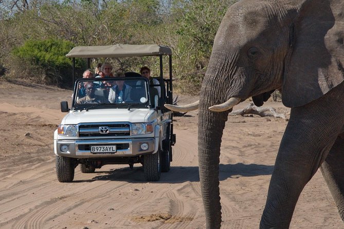 Chobe National Park Game Drive, Botswana - Additional Information