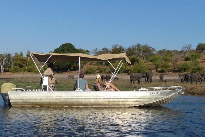 Chobe Sunrise Upto Sunset Day Trip From Victoria Falls 5AM - 7PM - Recommendations for Travelers
