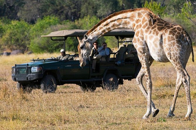 Chobe Sunrise Upto Sunset Day Trip From Victoria Falls 5AM - 7PM - Pricing and Cancellation
