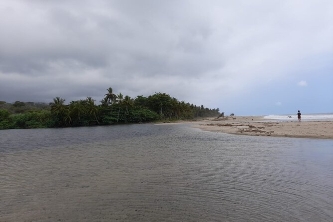 Choco Adventure Tour - Tour Highlights and Attractions