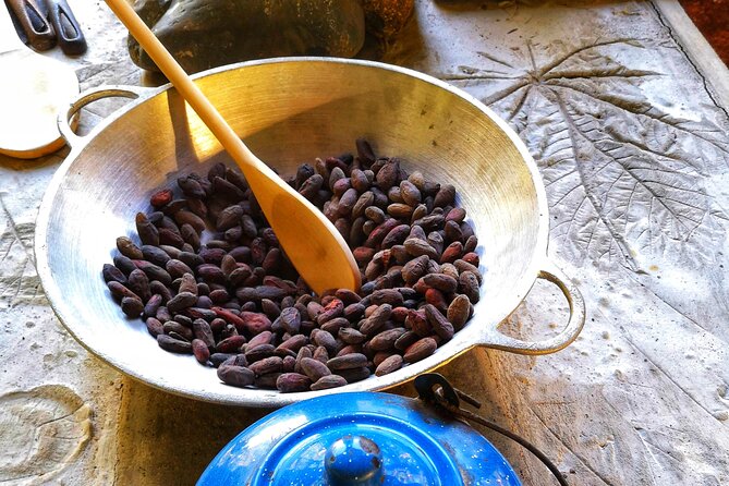 Chocolate and Coffee Tasting Tour Manuel Antonio - Highlight of the Experience