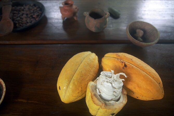Chocolate and Farm Tour With Local Tico Family - Meeting Point and Accessibility