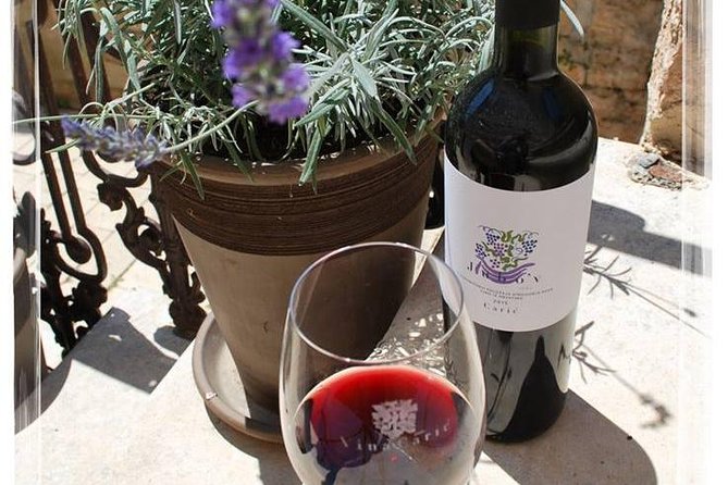 Chocolate and Wine Tasting Small Group Tour From Hvar - Gastronomic Experience