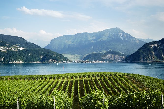 Chocolate, Cheese and Wine Tour in Luzern Region - Additional Information
