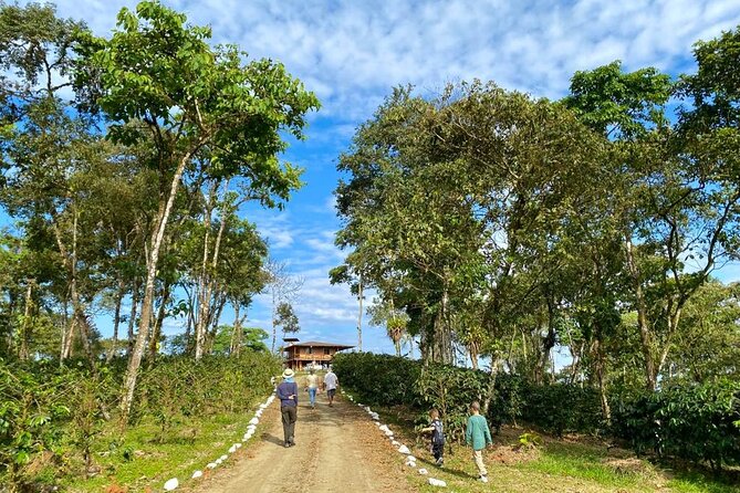 Chocolate & Coffee Farm Cruiseship Tour in Manta - Key Points