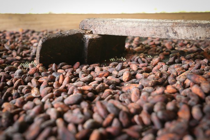 Chocolate & Coffee Farm Experience - Key Points
