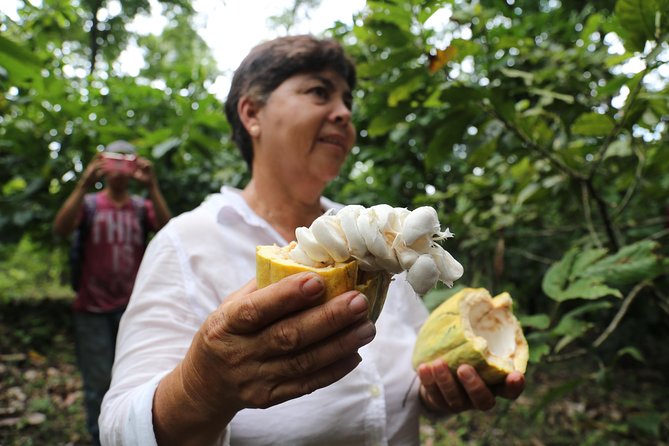 Chocolate & Coffee Farm Experience - Meals and Refreshments
