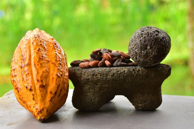 Chocolate Experience - Understanding Cocoa Varieties
