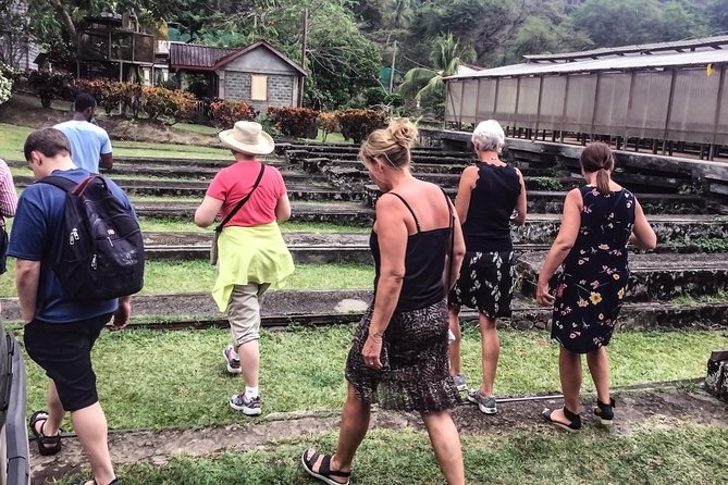 Chocolate Factory Belmont Estate, Annandale Falls & Grand Etang Lake Tour - Host Responses