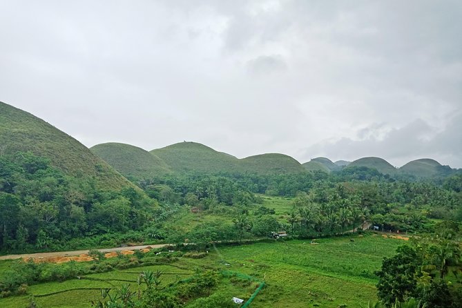 Chocolate Hills Bohol Nature Tour - Breakfast and Lunch