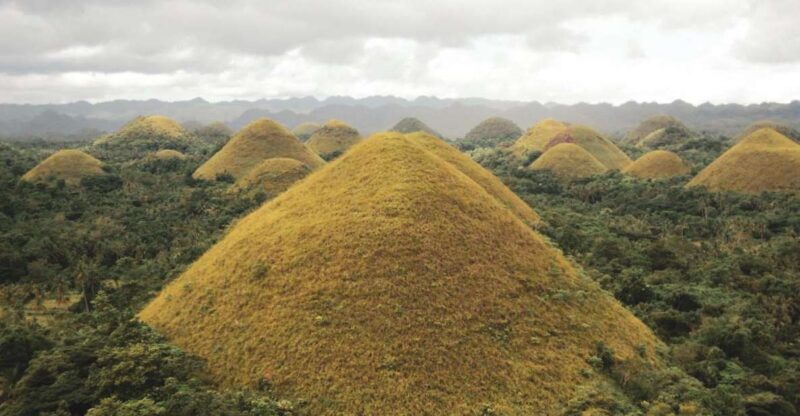 Chocolate Hills Bohol Private Tour - Key Points