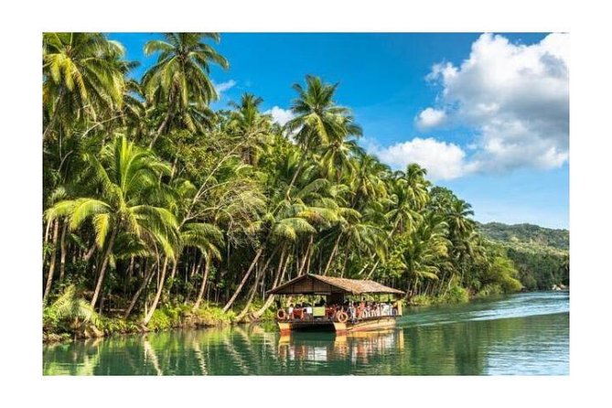 Chocolate Hills Tour With Tarsier & Loboc River Buffet Lunch (Half-Day Tour) - Included Highlights