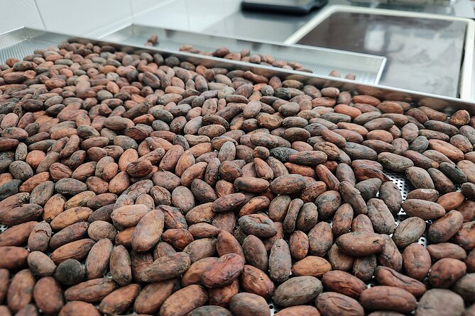 Chocolate Lesson in Modica for Small Groups - Hands-on Chocolate Making Experience