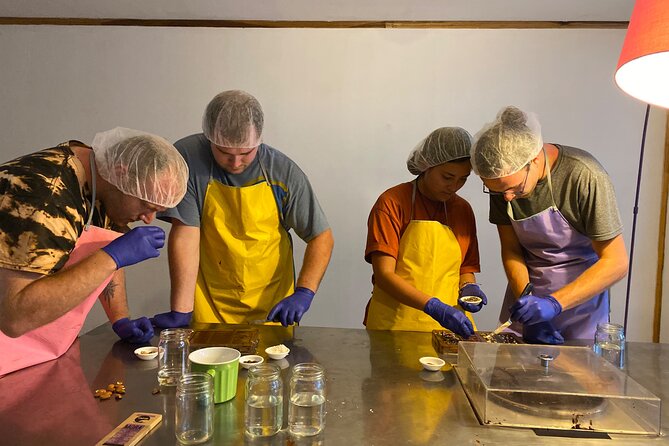 Chocolate Making and Tasting at a Local Factory in San José - Workshop Details