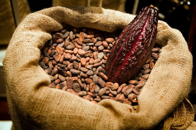 Chocolate Making Experiences at Our Artisanal Chocolate Factory. - Cancellation Policy