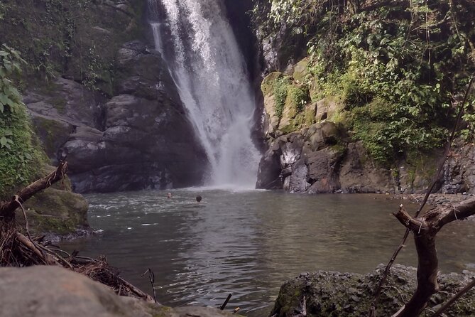 Chocolate Native Indigenous Tour and Waterfall Adventure - Key Points