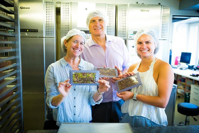 Chocolate Tasting With Lake Trip and City Tour: the Ultimate Lucerne Experience - Meeting and End Points