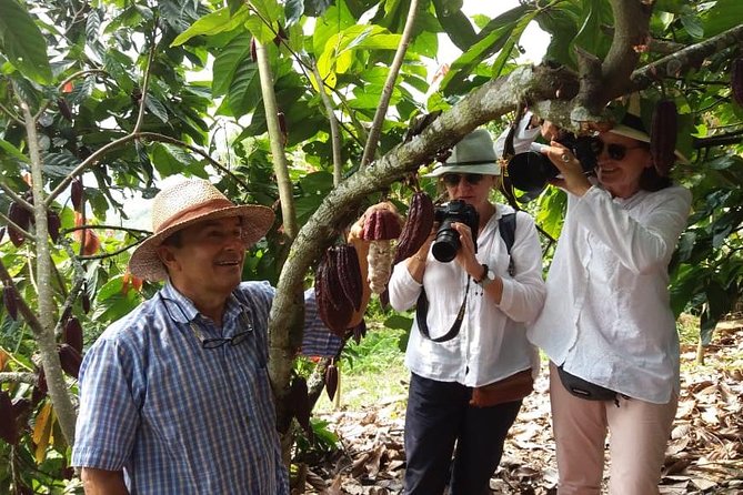 Chocolate Tour and Tropical Fruits - Key Points