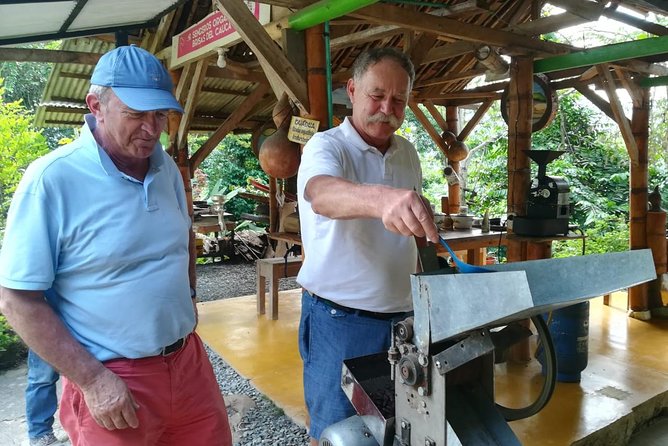 Chocolate Tour and Tropical Fruits - Marsella Town and Cultural Landscape