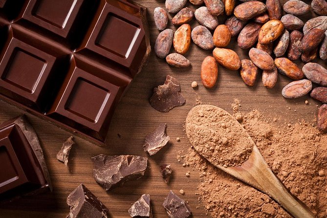 Chocolate Tour at Tirimbina Reserve. Private Tour From San Jose - Private Transportation