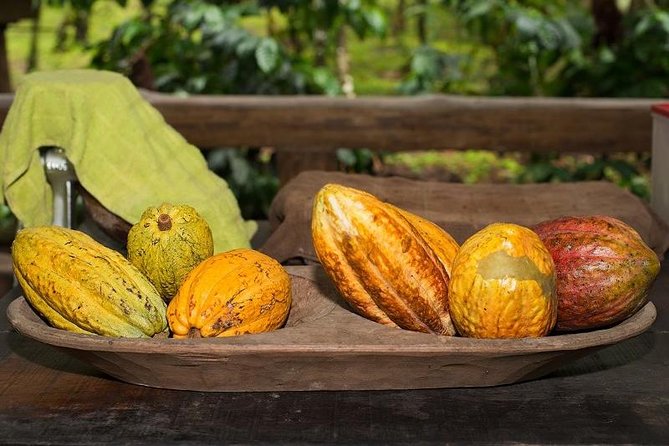 Chocolate Tour & Baldi Hot Springs. Private Tour From San Jose - Tour Overview