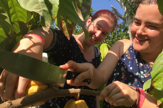 Chocolate Tour in Vallarta - Uncovering the Historical Significance
