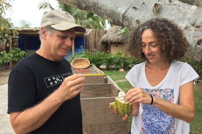 Chocolate Tour in Vallarta - Accessibility and Transportation Details