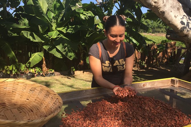 Chocolate Tour in Vallarta - Positive Customer Reviews and Feedback