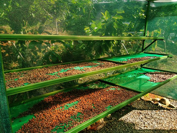 Chocolate Tour Manuel Antonio - Tour Details and Inclusions