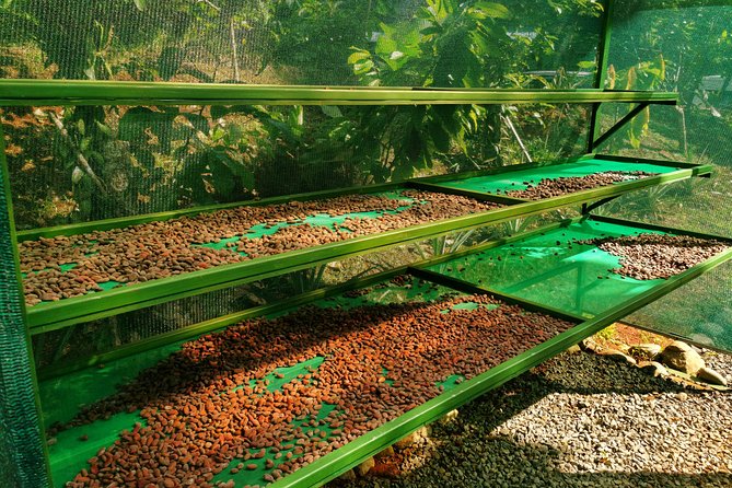 Chocolate Tour Manuel Antonio - Guided Tour Experience