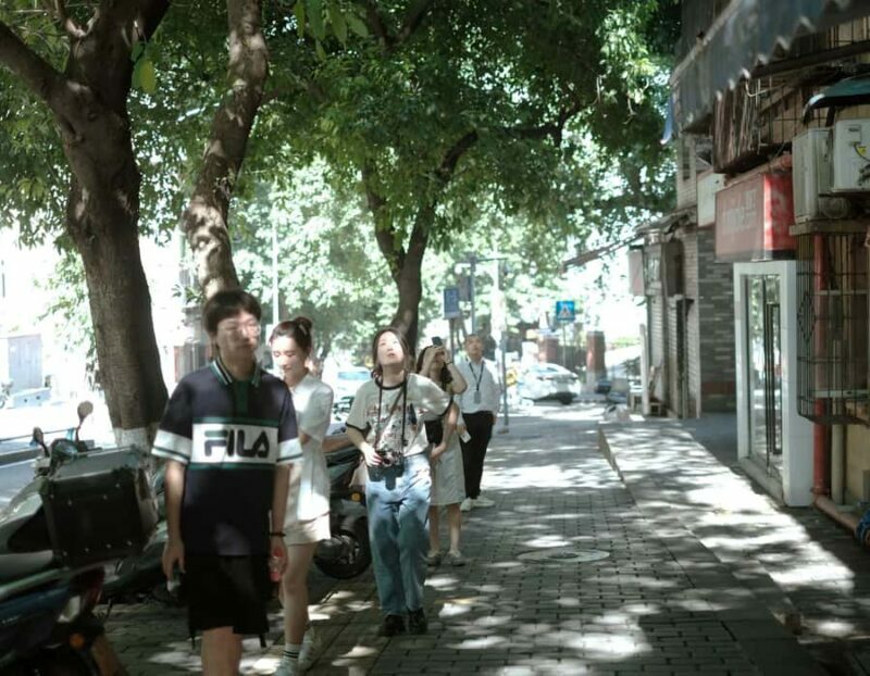 Chongqing: Hidden City Walking Tour with Local Guide - Discovering the Crazy Neighborhoods