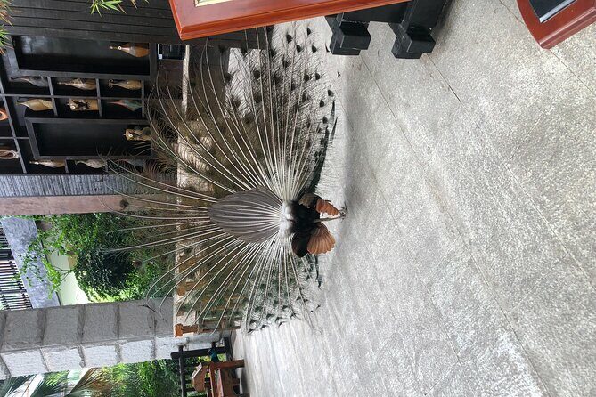 Chongqing Luxury Hot Spring and Massage Luxury Meal Private Tour - Frequently Asked Questions