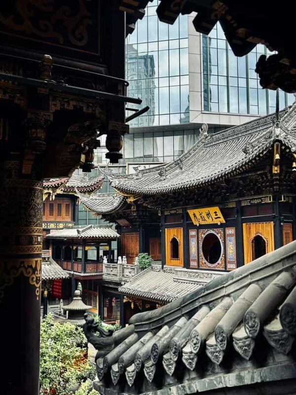 Chongqing: Surreal Urban, Ancient Town, and Secret Viewpoint - Exploring Chongqing: A Deep Dive into the Highlights