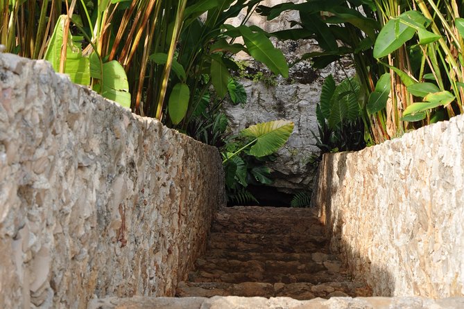 Choose Your Experience to Live in the 7 Cenotes San Gerónimo - Key Points