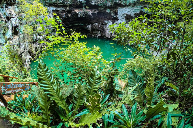 Choose Your Experience to Live in the 7 Cenotes San Gerónimo - Bicycle and Helmet Usage Included