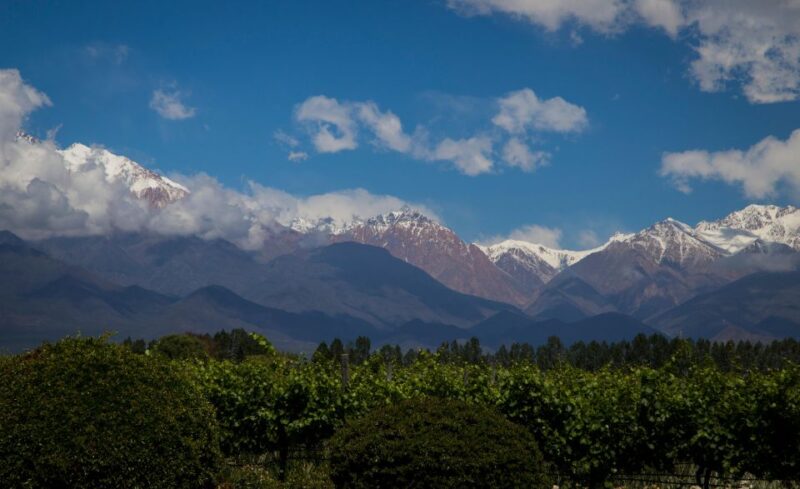 Choose Your Wine Adventure at Uco Valley - Itinerary Details