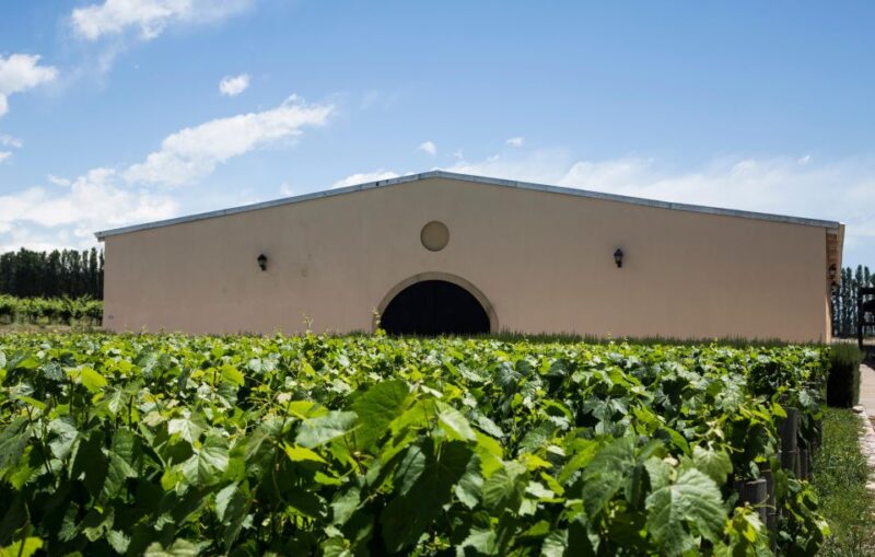 Choose Your Wine Adventure at Uco Valley - Highlights of the Experience