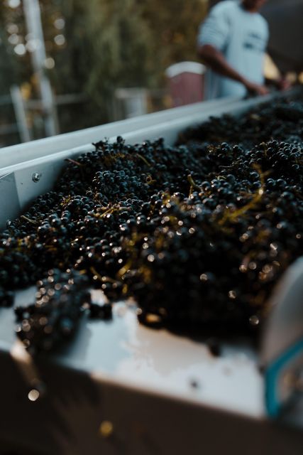 Choose Your Wine Adventure at Uco Valley - Convenient Transportation and Pickup