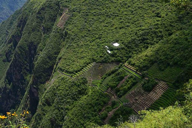 Choquequirao Trek 4 Days The Lost City of The Inkas - Booking and Pricing
