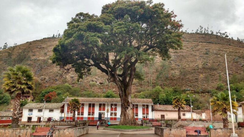Choquequirao Trekking 4 Days/3 Nights - Additional Information
