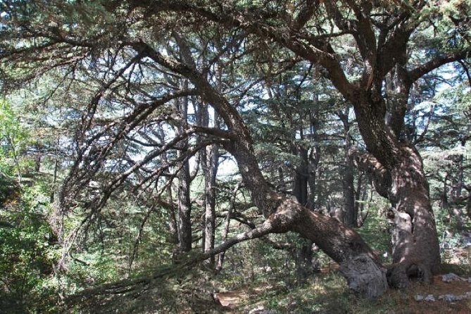 Chouf Charm: Private Journey Through Lebanons Historic Heartland - Inclusions and Amenities